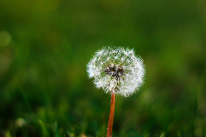 https vidhub cc https vidhub cc