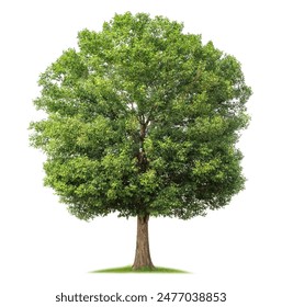 免费午夜片 免费午夜片