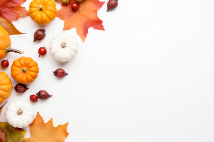 g點網 登入 g點網 登入