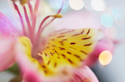 四虎最新地址 四虎最新地址