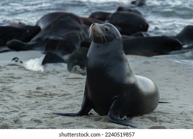 漫蛙正在转跳中 漫画 漫蛙正在转跳中 漫画