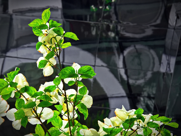 漫蛙漫画 漫画 漫蛙漫画 漫画