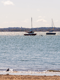 如何下载和使用cupfox茶杯狐应用程序的详细指南 如何下载和使用cupfox茶杯狐应用程序的详细指南