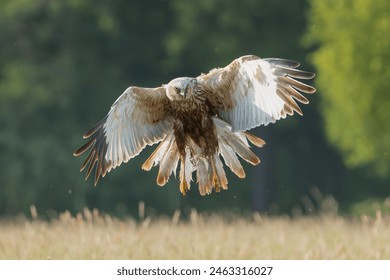 如何下载和安装Gigabyte主板驱动程序的详细指南 如何下载和安装Gigabyte主板驱动程序的详细指南